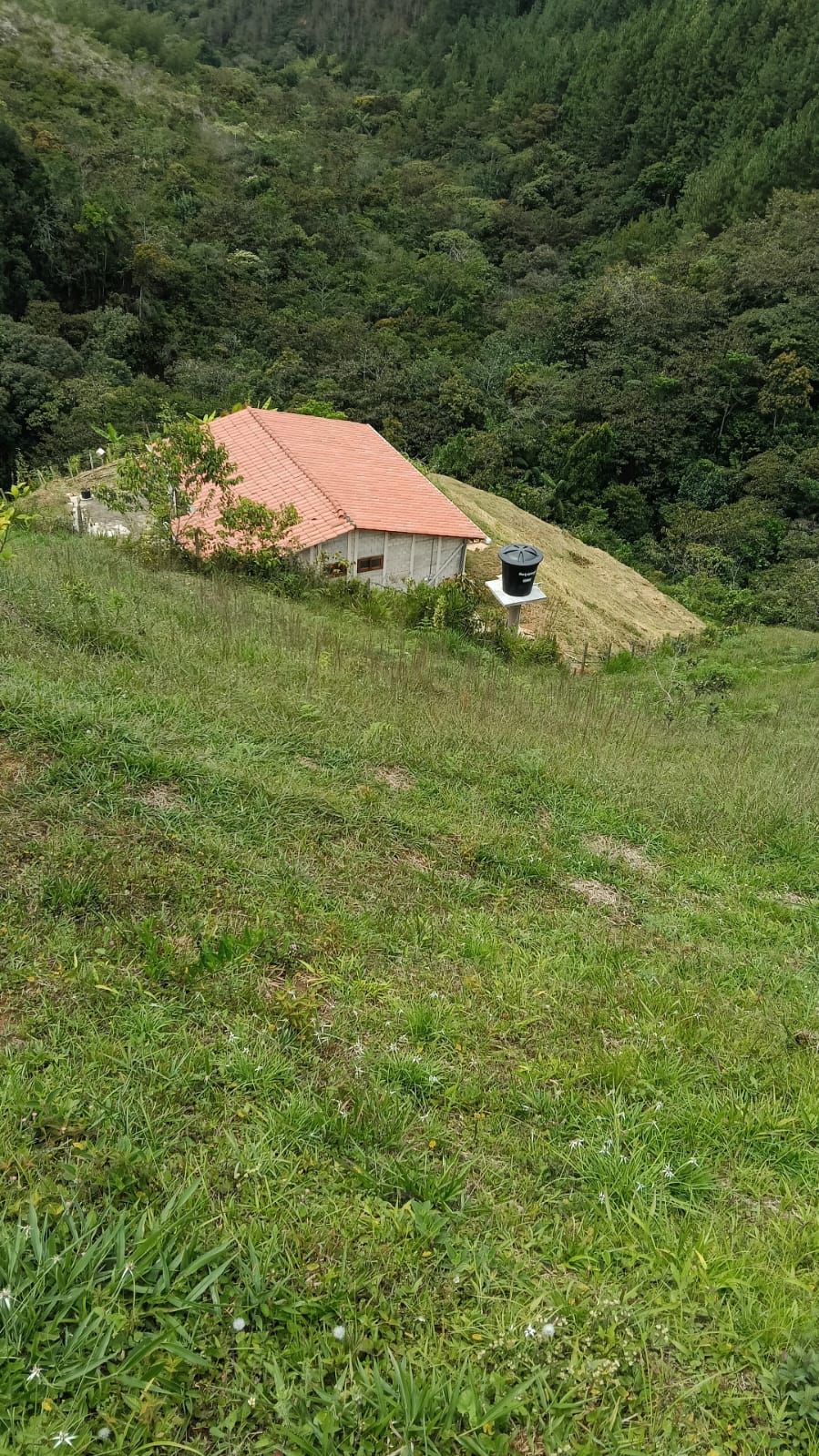 Foto de Anderson Camacho Correa