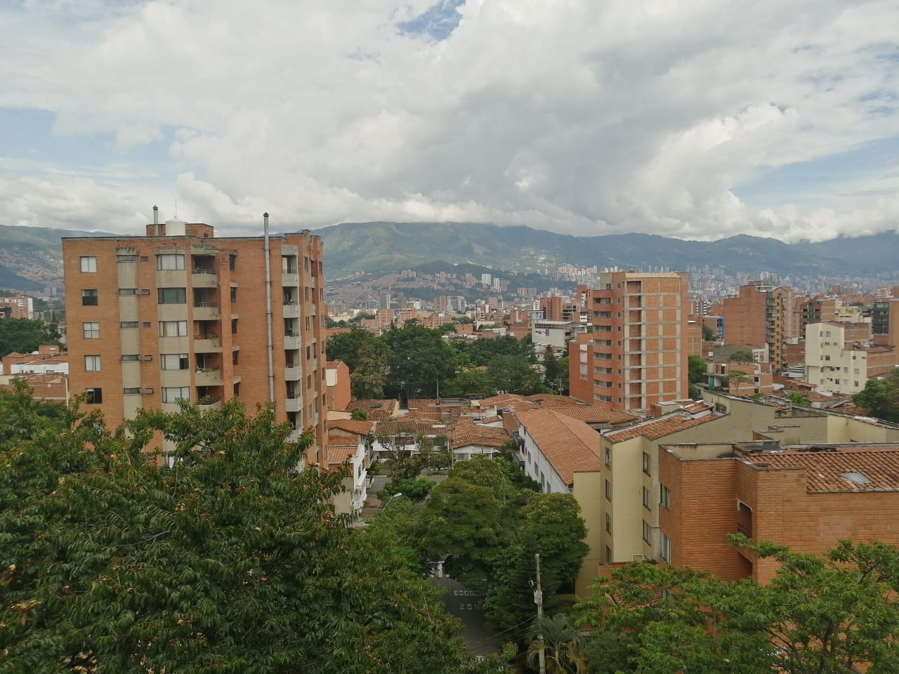 Contenido visual de la publicación